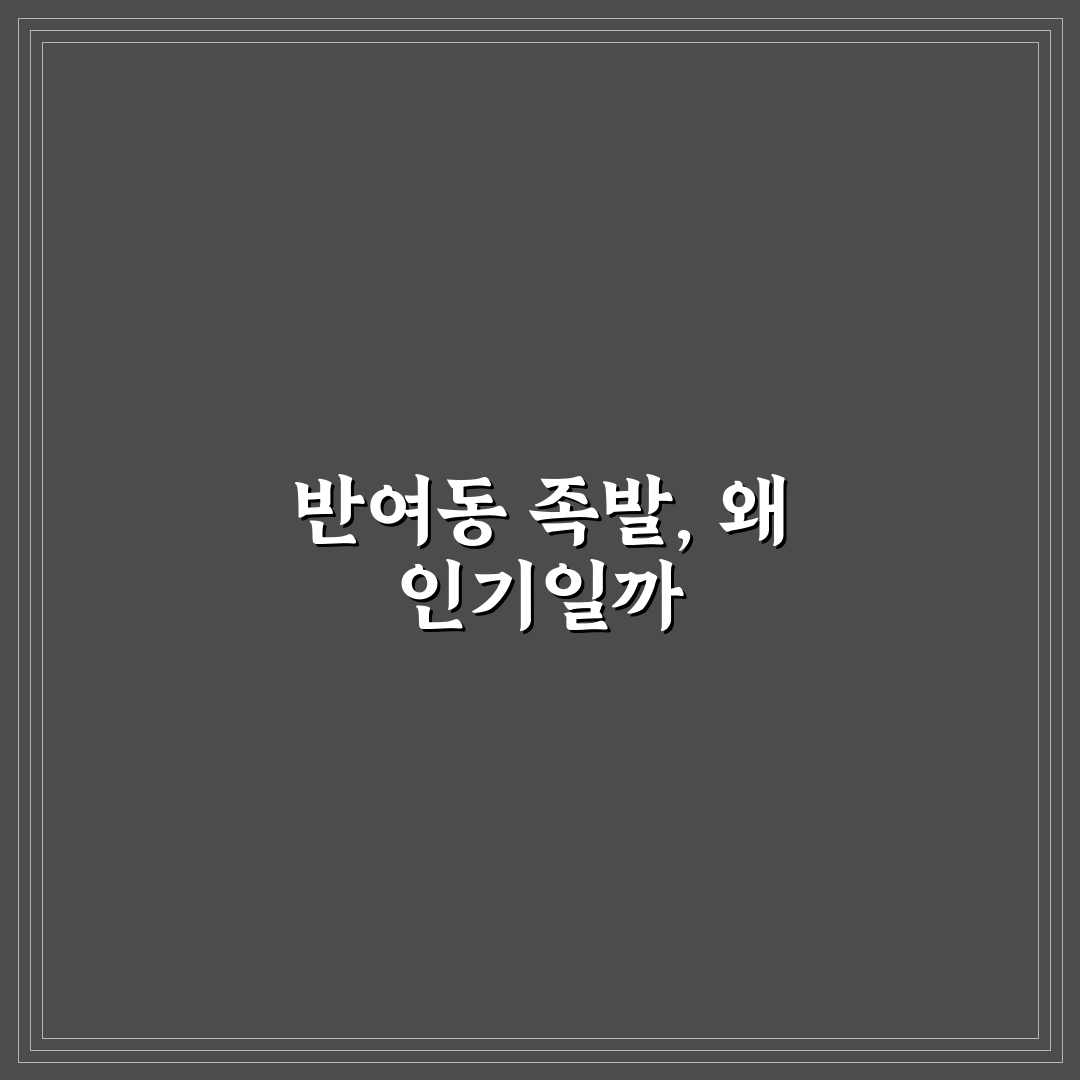 반여동 족발 맛과 가격 비교 5가지 기준 총정리