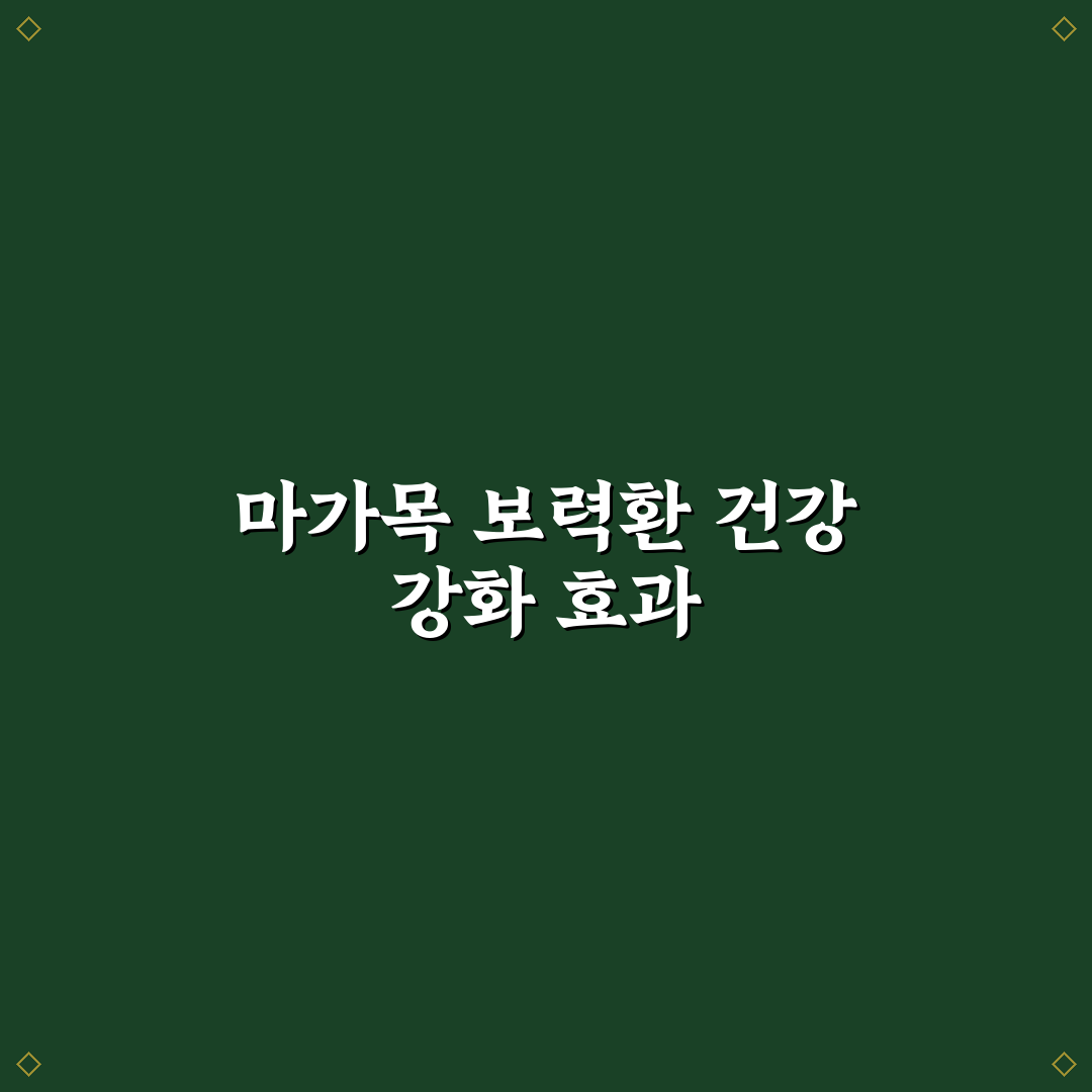 마가목 보력환 효능과 복용법 꿀팁 정리