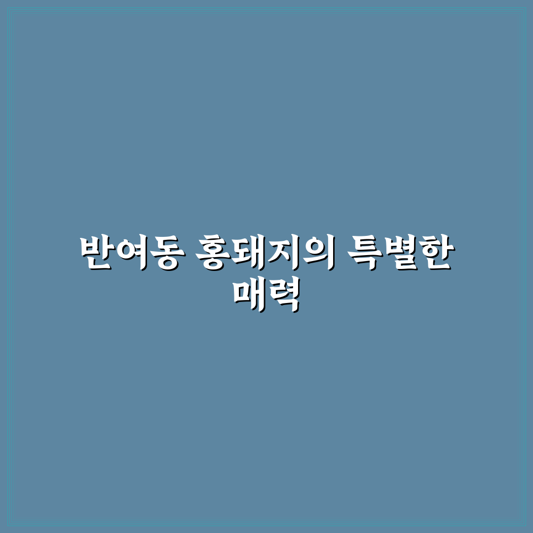 반여동 홍돼지 방문 후기와 맛집 꿀팁 공유