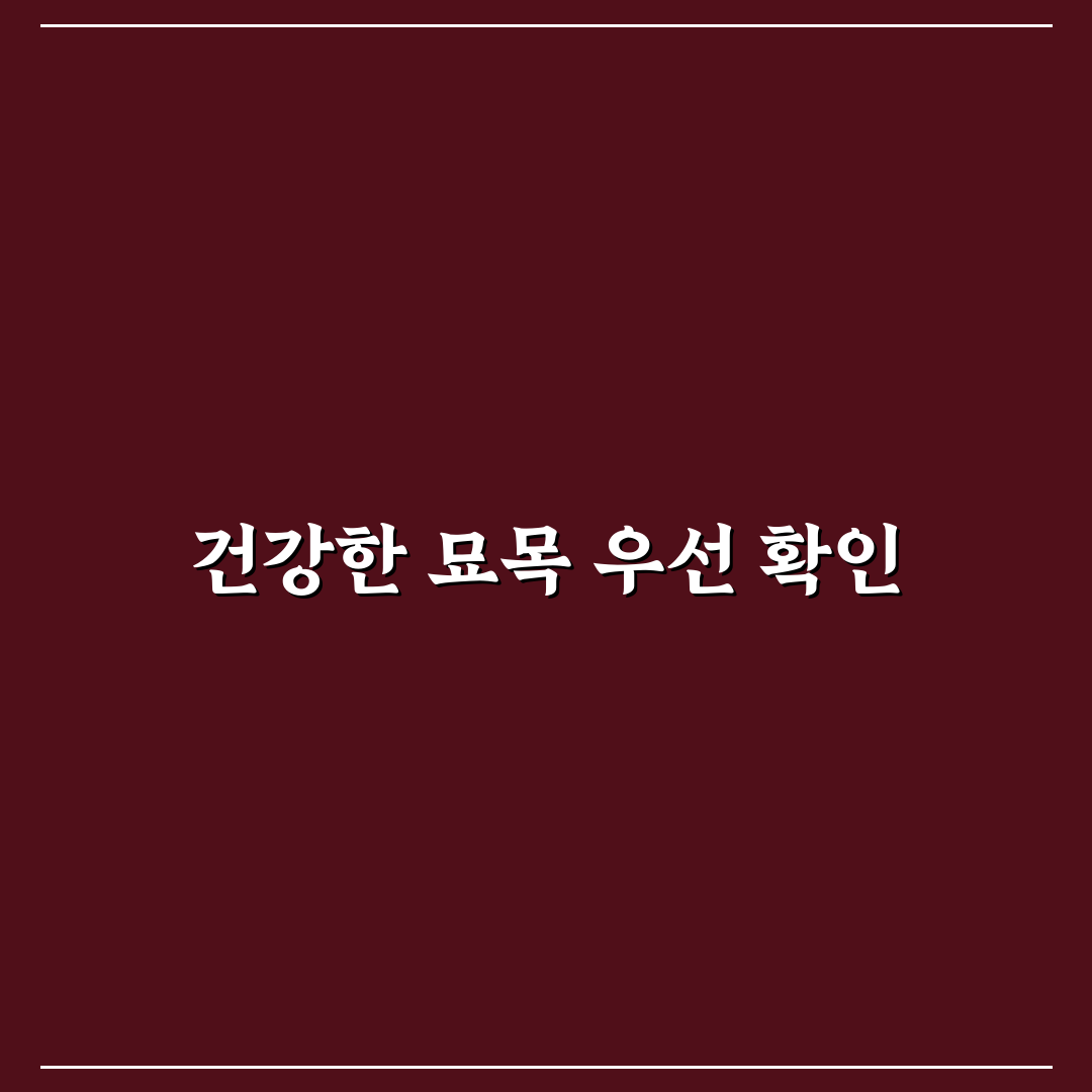황금조팝나무 묘목 선택 가이드와 관리 체크포인트 분석