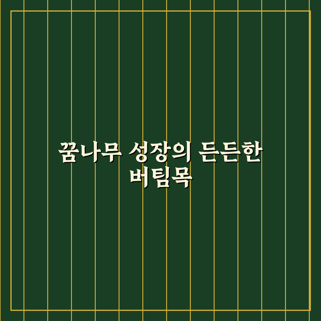 구립석관동 꿈나무키우미돌봄센터 운영 기준과 서비스 비교 분석