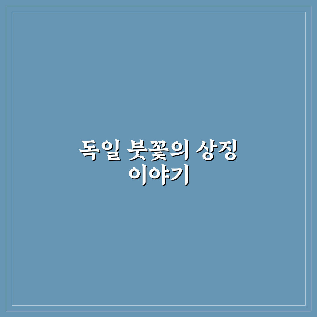독일 붓꽃 꽃말과 상징 의미 5가지 기준 분석