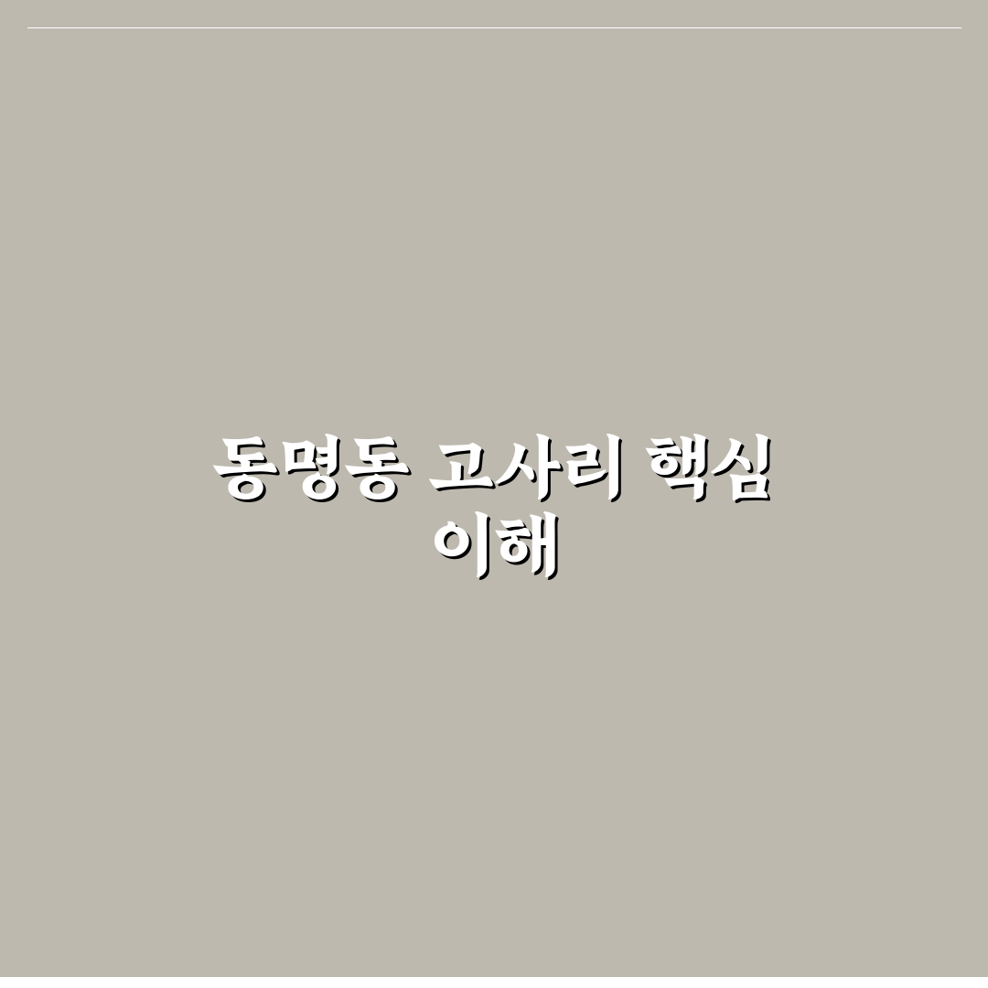 동명동 고사리 구매 가이드와 선택 기준 총정리