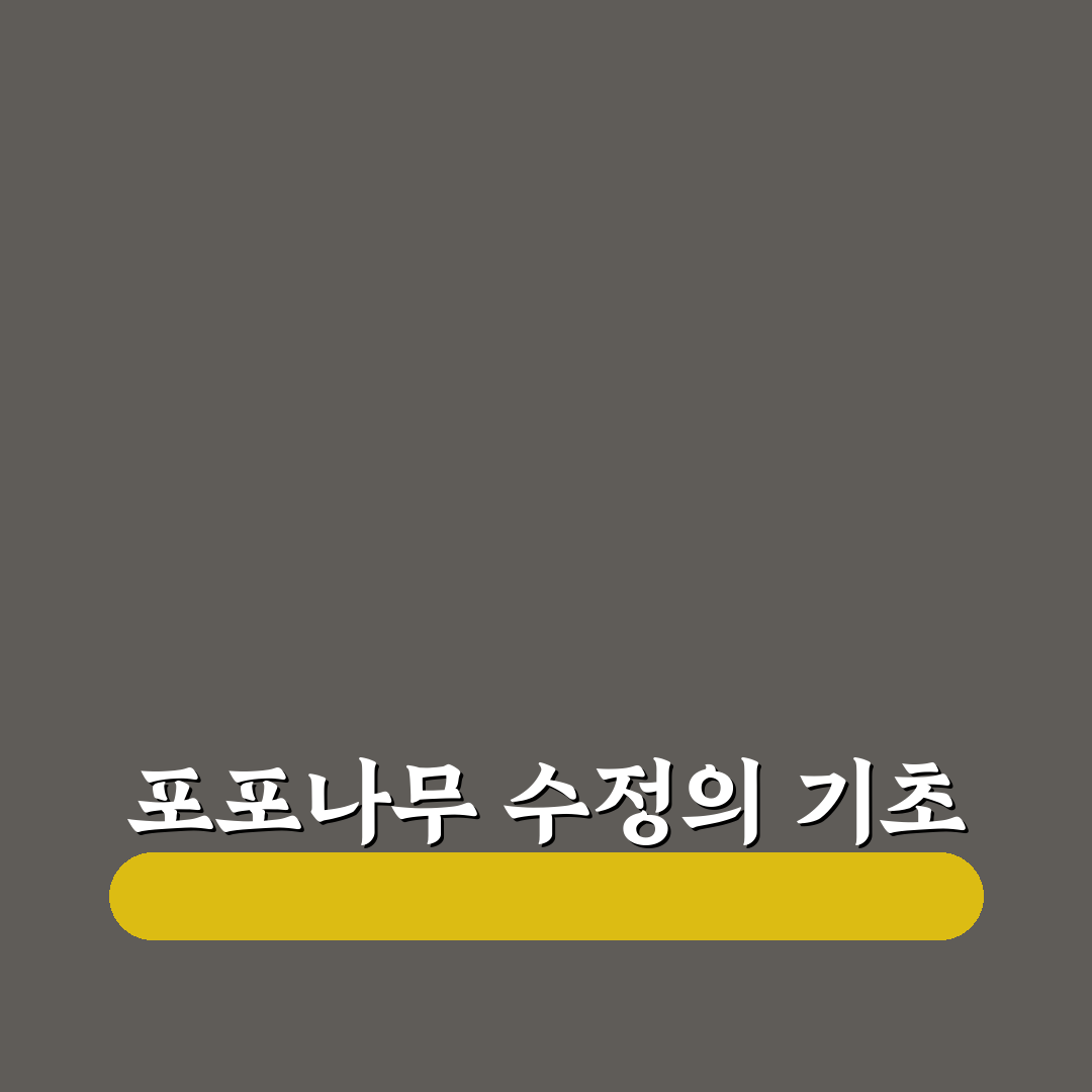 포포나무 수정방법 초보자를 위한 꿀팁 정리