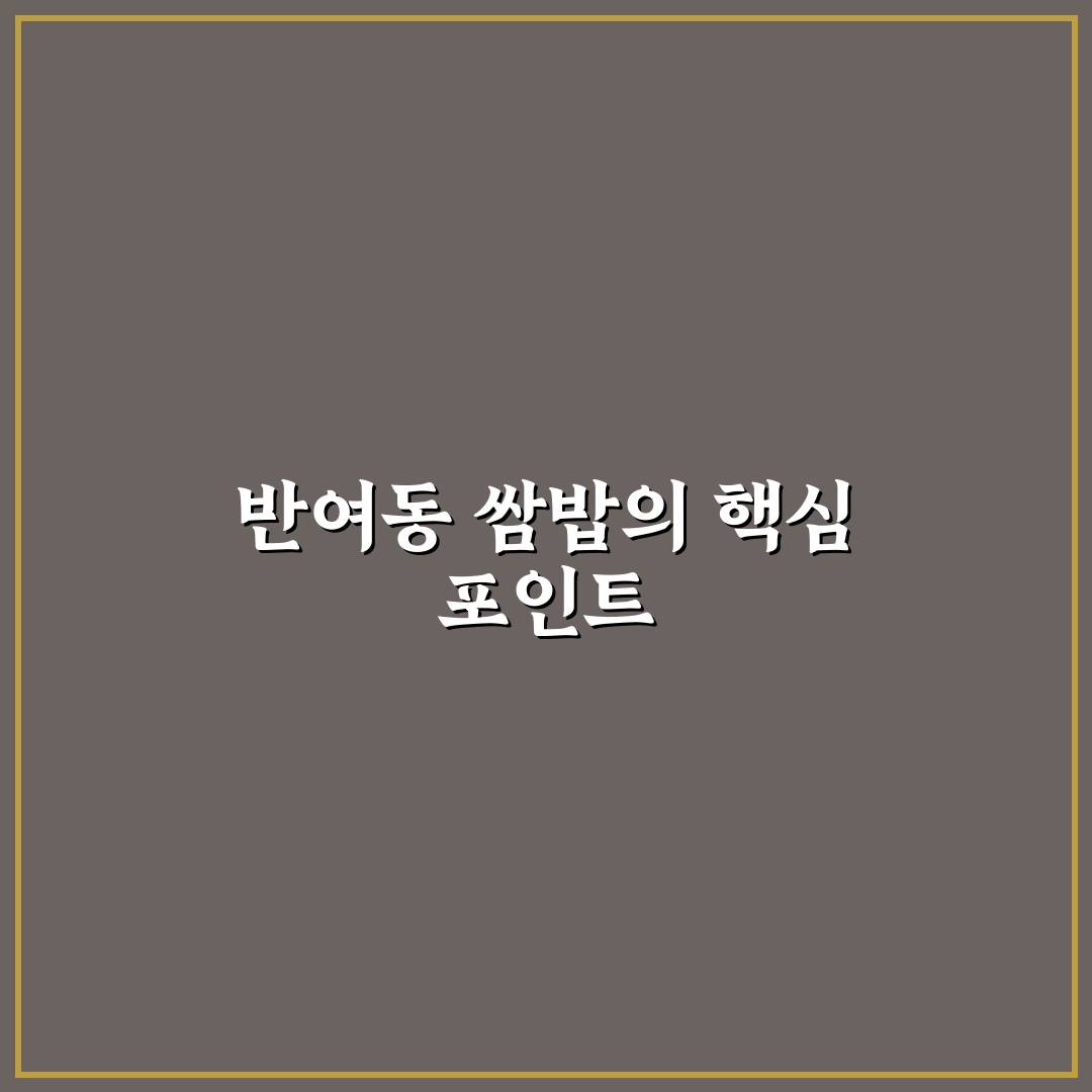 반여동 쌈밥 가성비와 맛 분석 5가지 기준 총정리