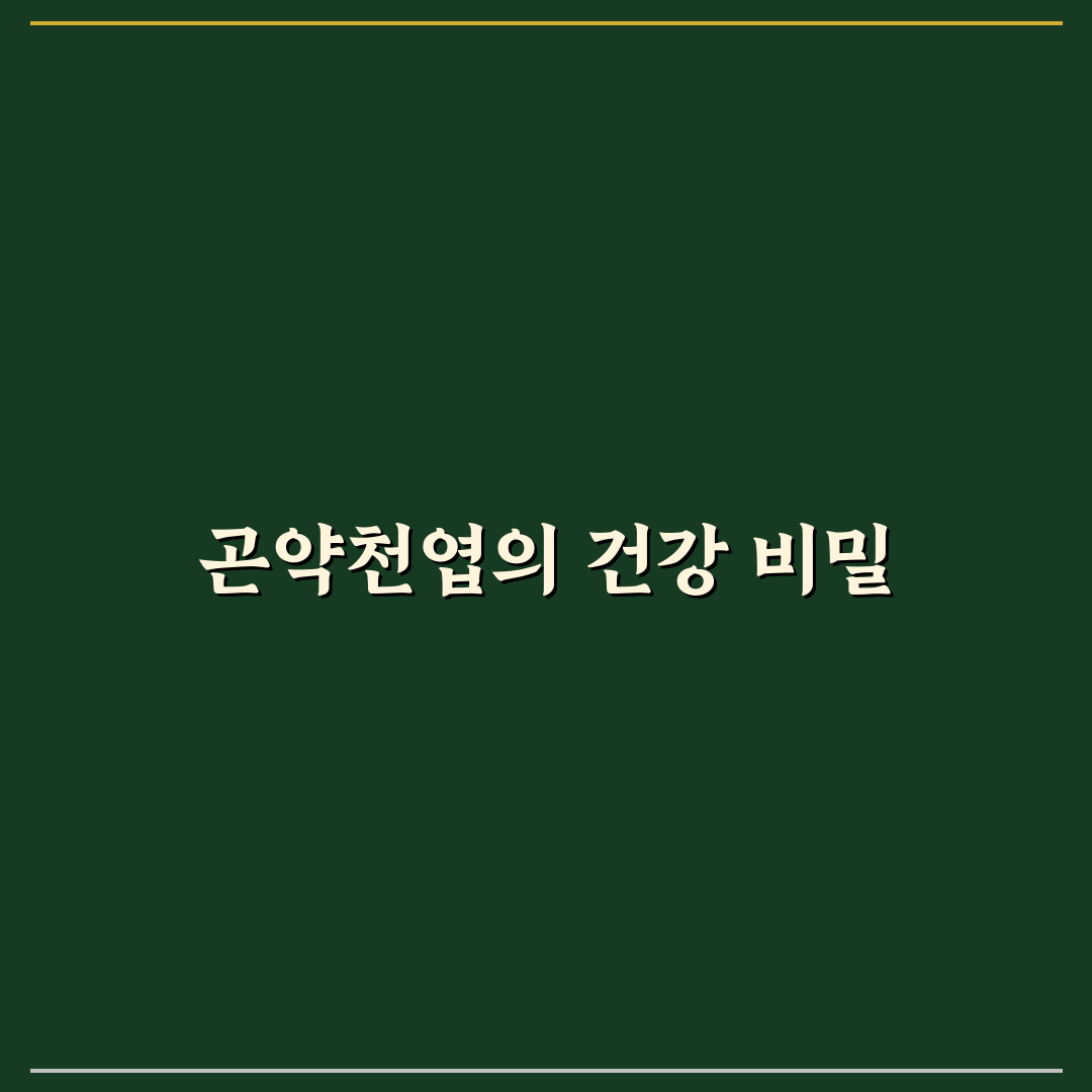 곤약천엽 구매 전 꼭 알아야 할 5가지 비교 기준
