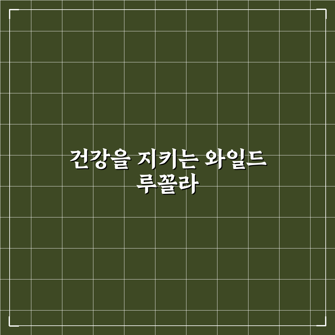 와일드 루꼴라 효능 5가지 기준별 효과 분석과 비교