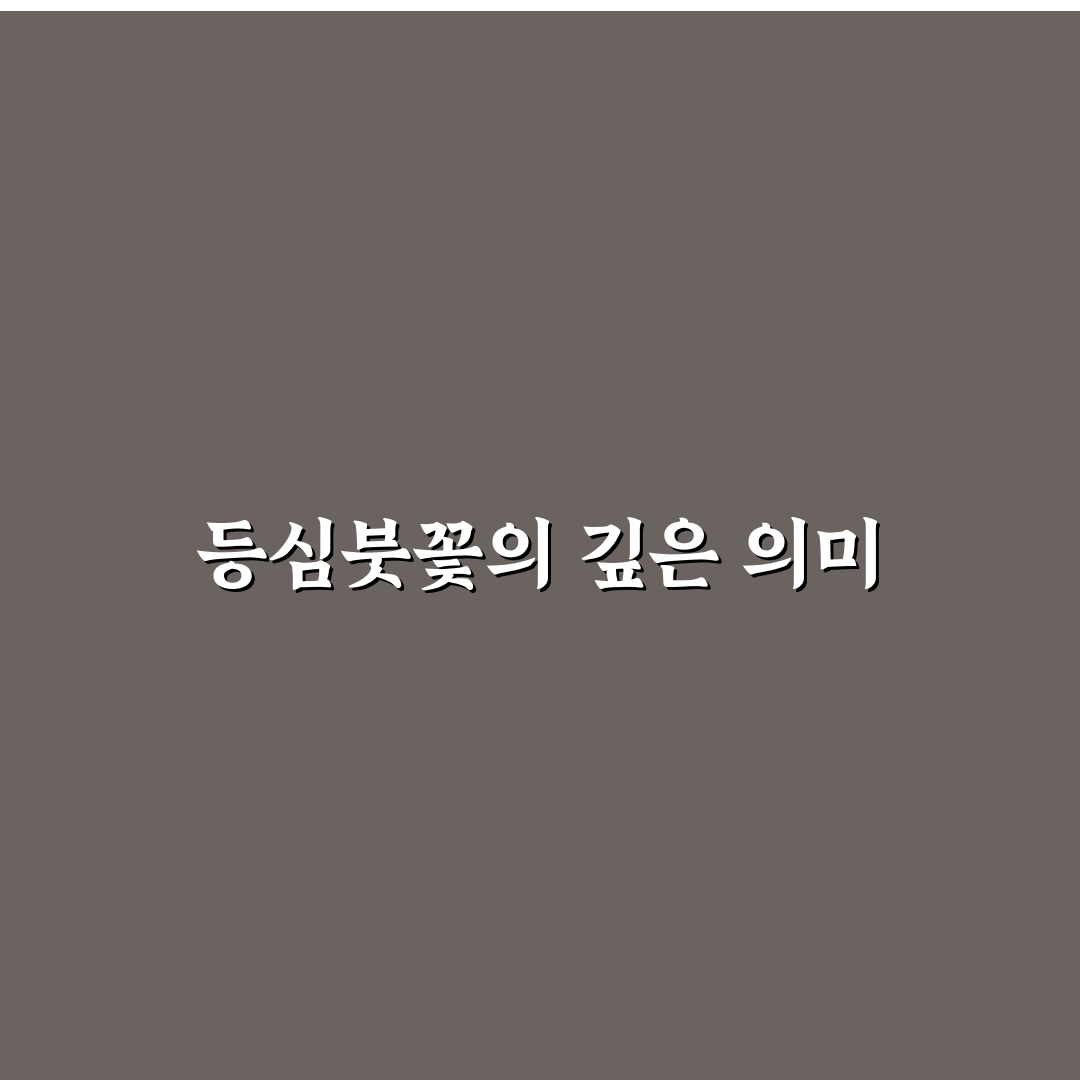 등심붓꽃 꽃말과 의미 쉽게 알려드려요