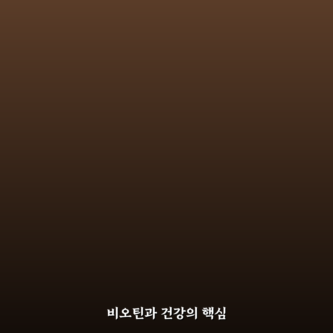 비오틴 나무위키 정보와 활용 꿀팁 정리