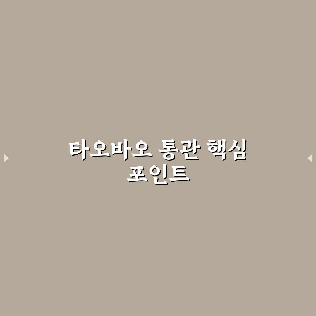 타오바오 통관 실패 원인과 해결 가이드 비교 분석