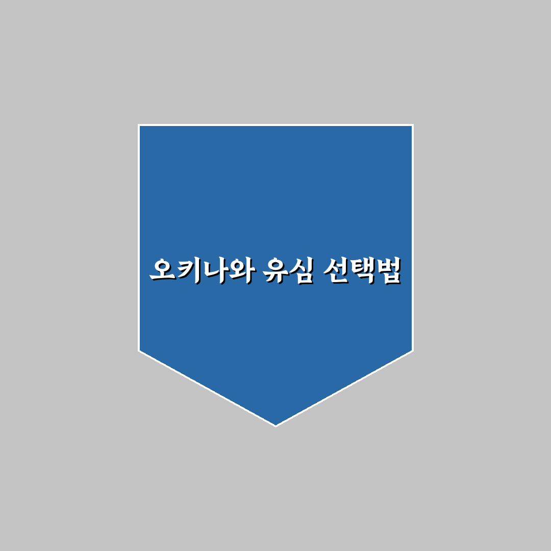 오키나와 유심 선택 가이드와 통신 품질 비교 기준