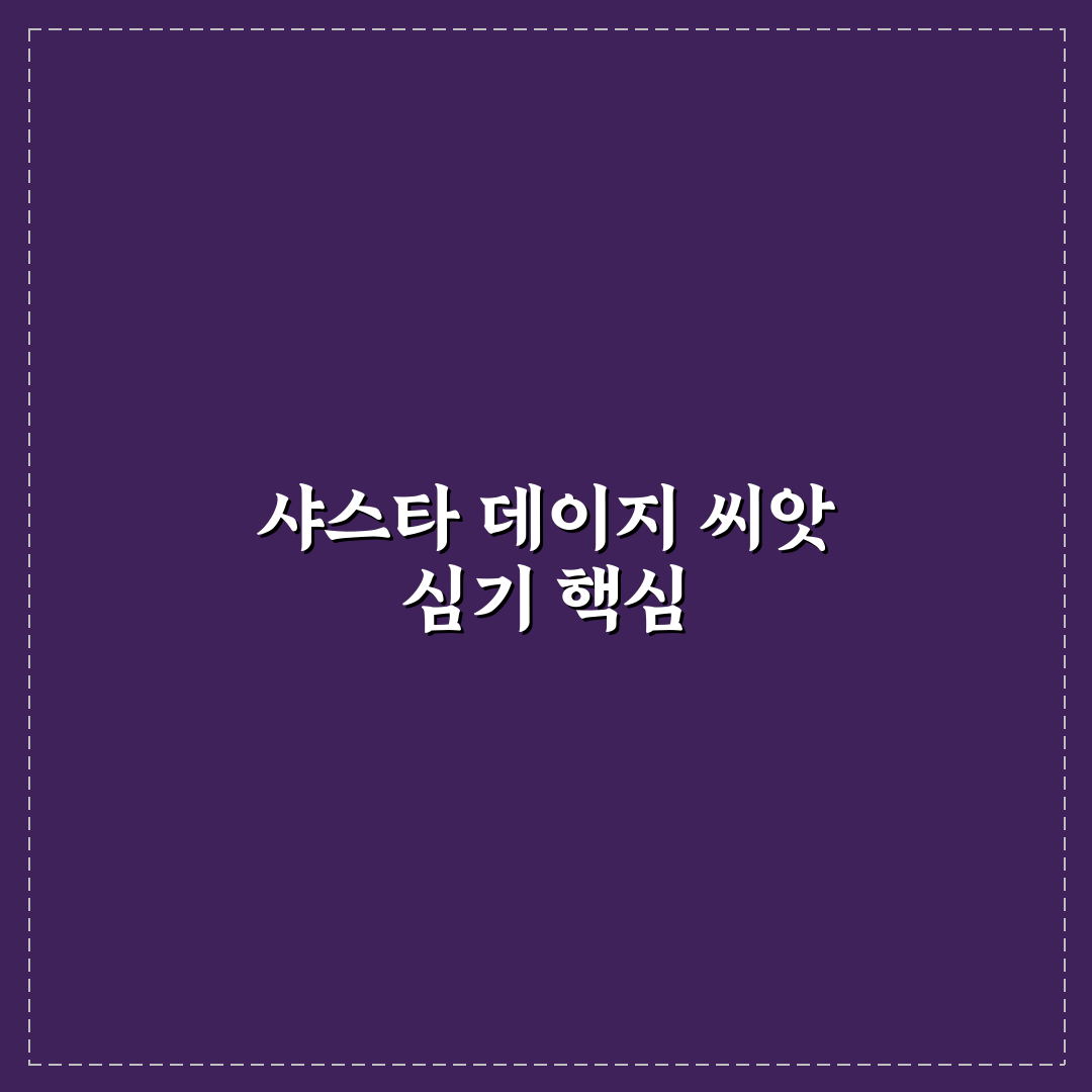 샤스타 데이지 파종 방법과 꿀팁 쉽게 알려드려요