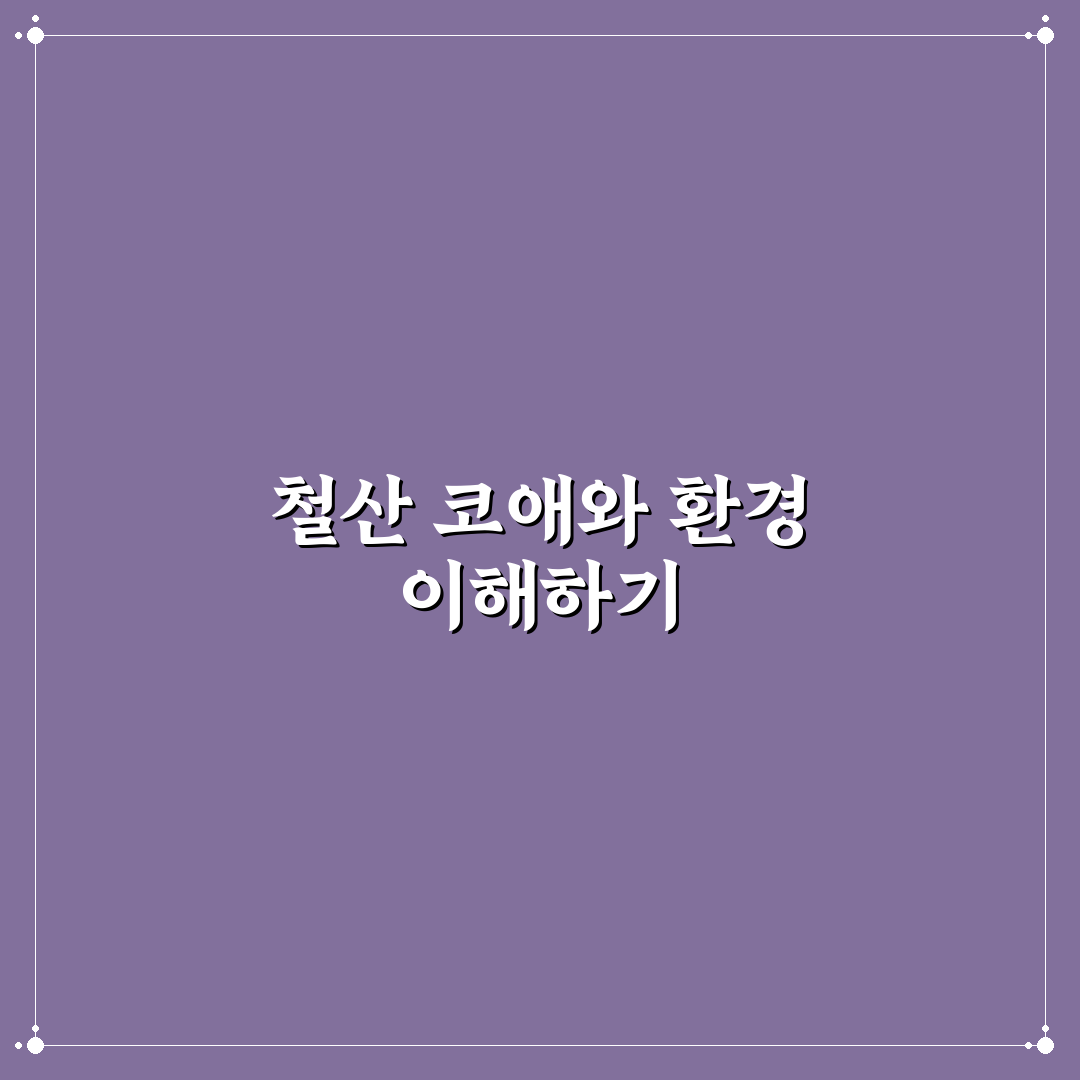 철산 코애 방문 전 알아두면 좋은 꿀팁 정리