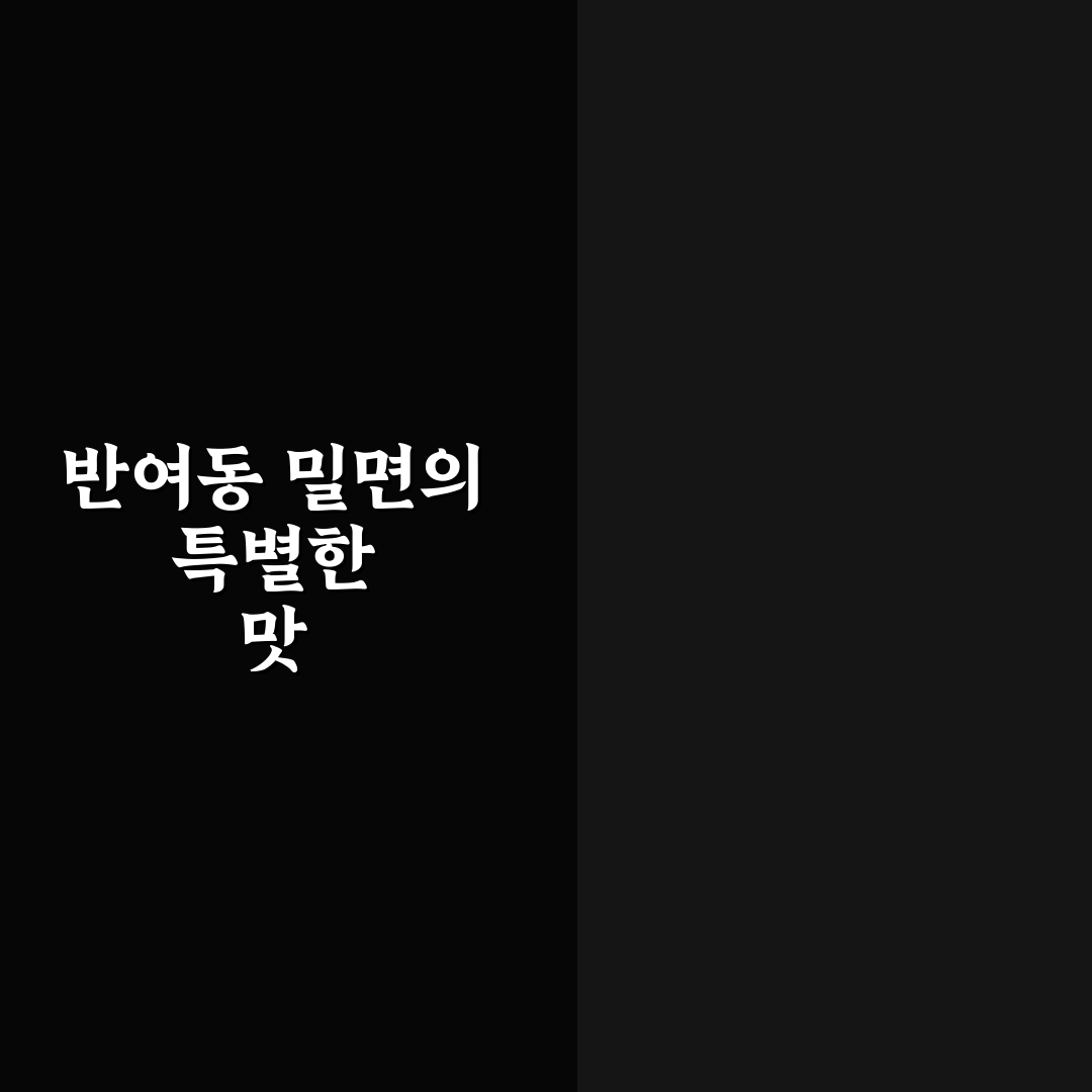 반여동 밀면 맛과 가격 비교 분석 가이드 5가지 체크포인트