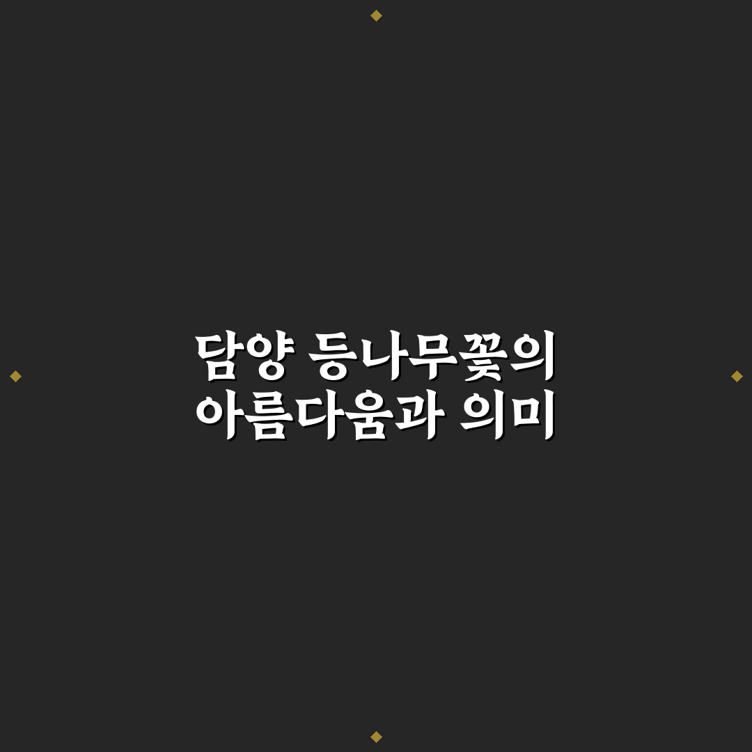 담양 등나무꽃 방문 꿀팁과 주변 명소 함께 알아보기