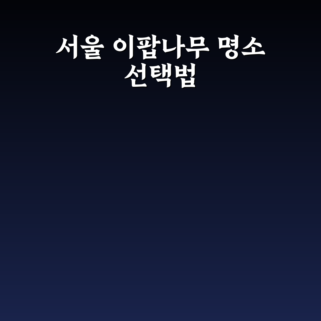 서울 이팝나무 명소 비교와 방문 기준 총정리