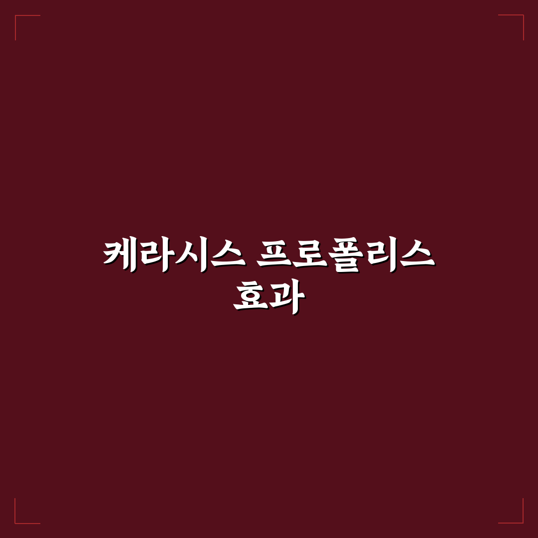 케라시스 프로폴리스 트리트먼트 사용법과 효과 꿀팁 공유