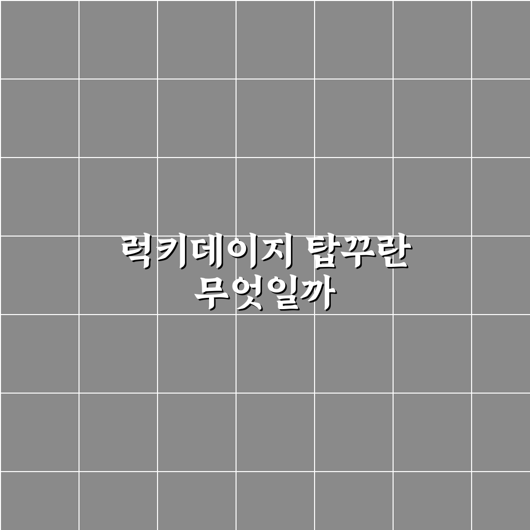 럭키데이지 탑꾸 사용법과 추천 꿀팁 정리