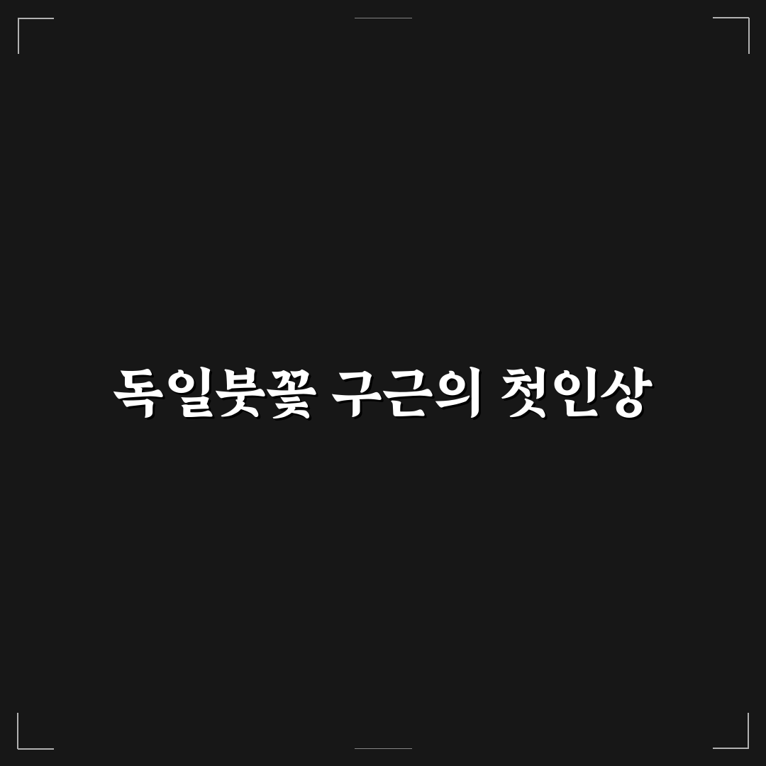 독일붓꽃 구근 사용기, 직접 심어보니 성장과정이 궁금해졌다