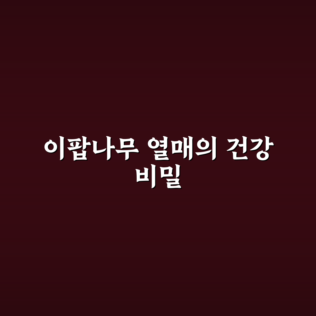 이팝나무 열매효능과 활용법 쉽게 알아보는 꿀팁
