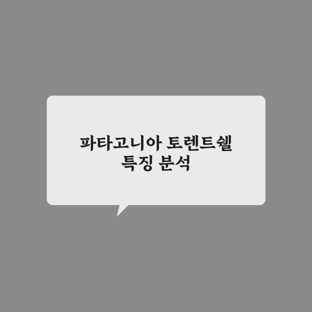 파타고니아 토렌트쉘 사용법과 추천 꿀팁 정리