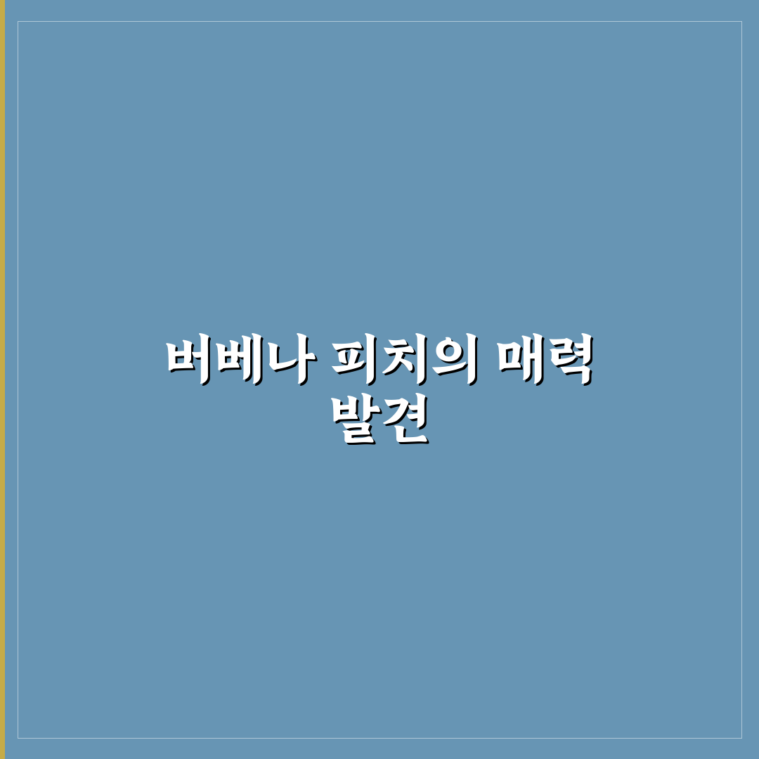 버베나 피치 사용법과 효과 쉽게 알려드려요