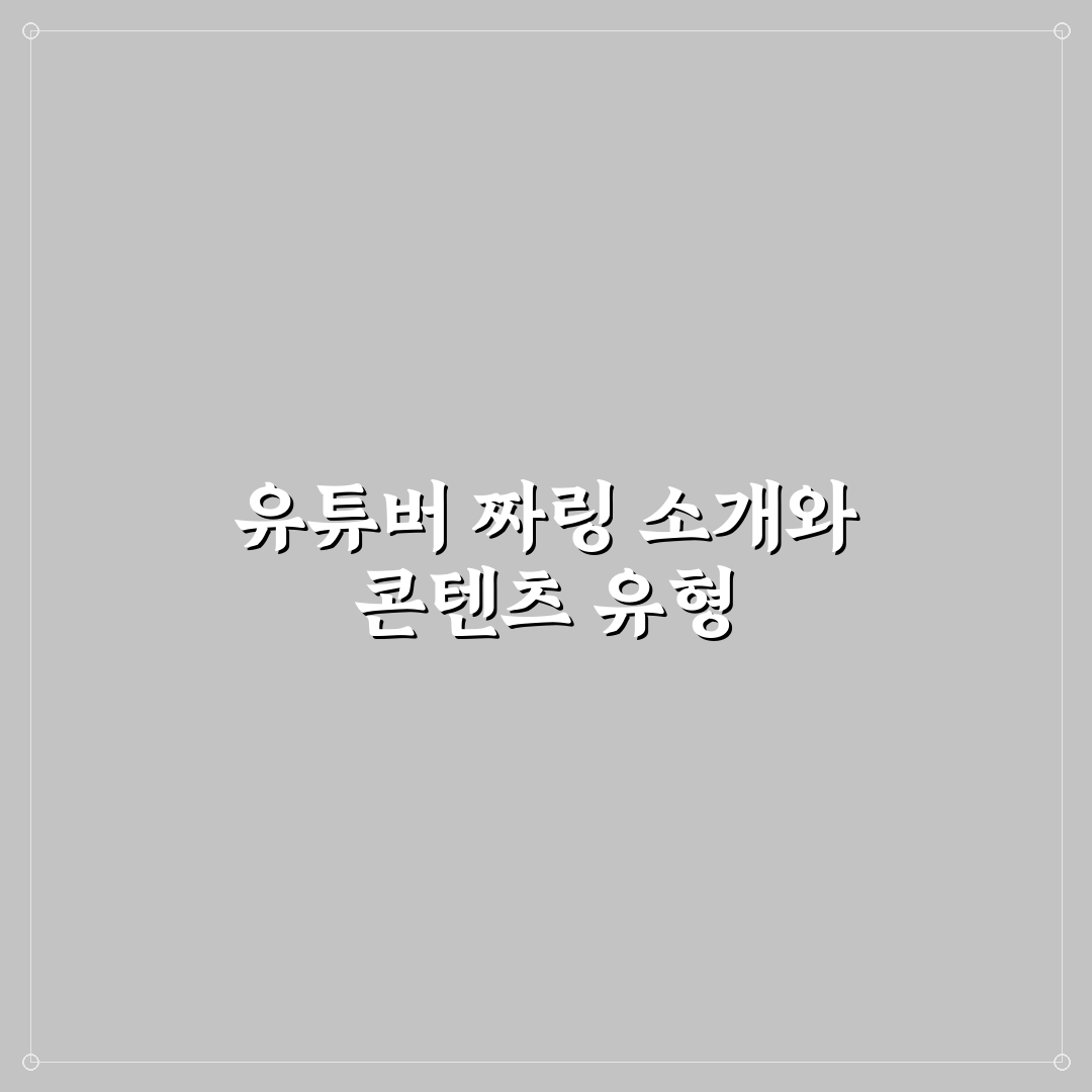 유튜버 짜링 초보도 쉽게 이해하는 활용 팁 정리
