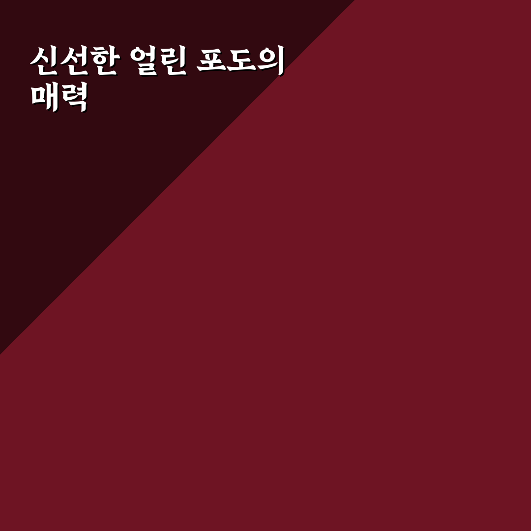 프로즌 포도 소르베 만드는 방법과 꿀팁 알려드려요
