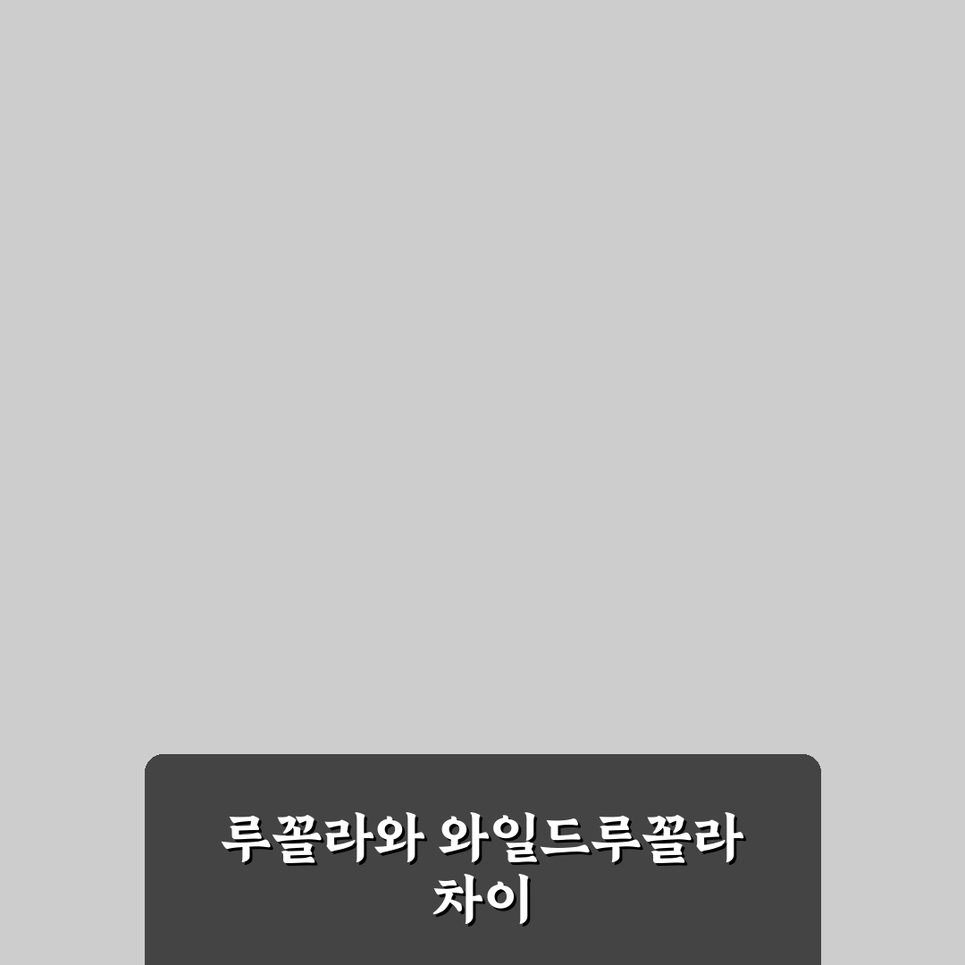 루꼴라 와일드루꼴라 차이 쉽게 알려드려요 꿀팁