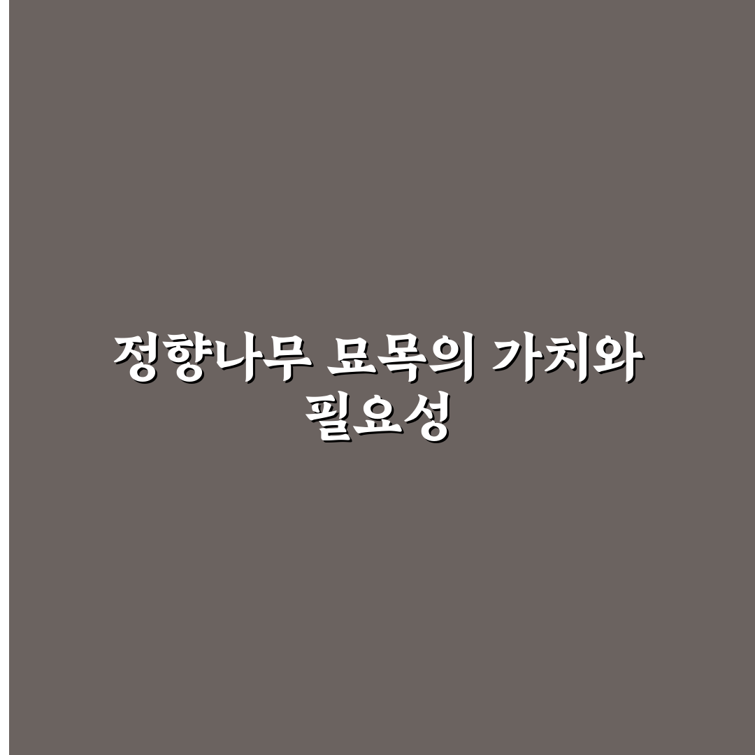 정향나무 묘목 키우기 꿀팁과 관리 방법 알려드려요