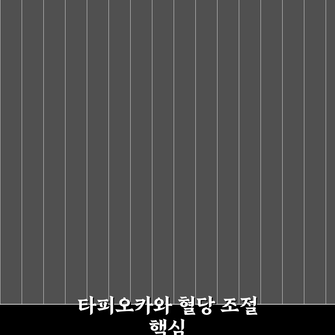 타피오카전분 혈당 관리 꿀팁 초보자도 쉽게 이해하기