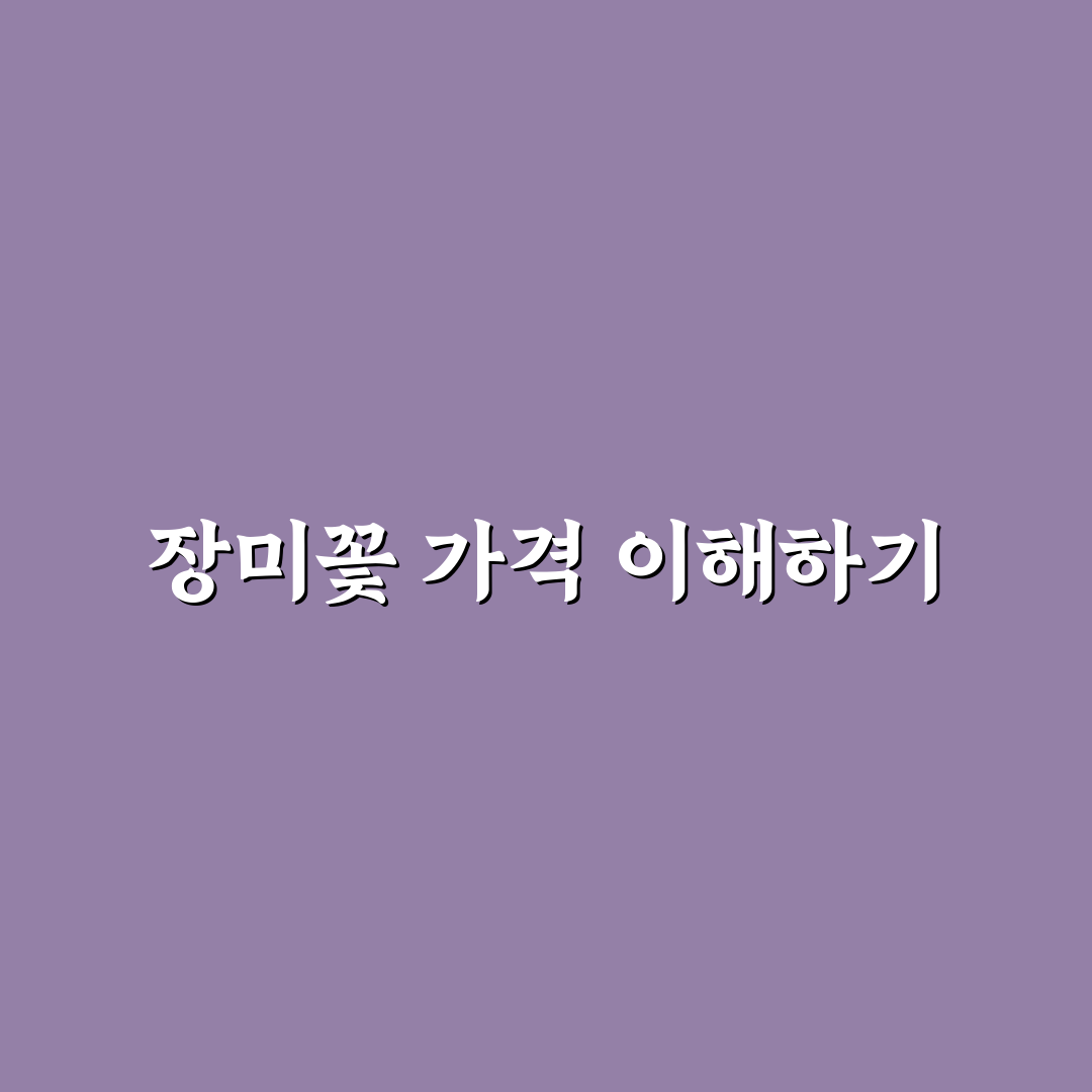 장미꽃 한송이 가격 비교와 구매 시 체크포인트 5가지