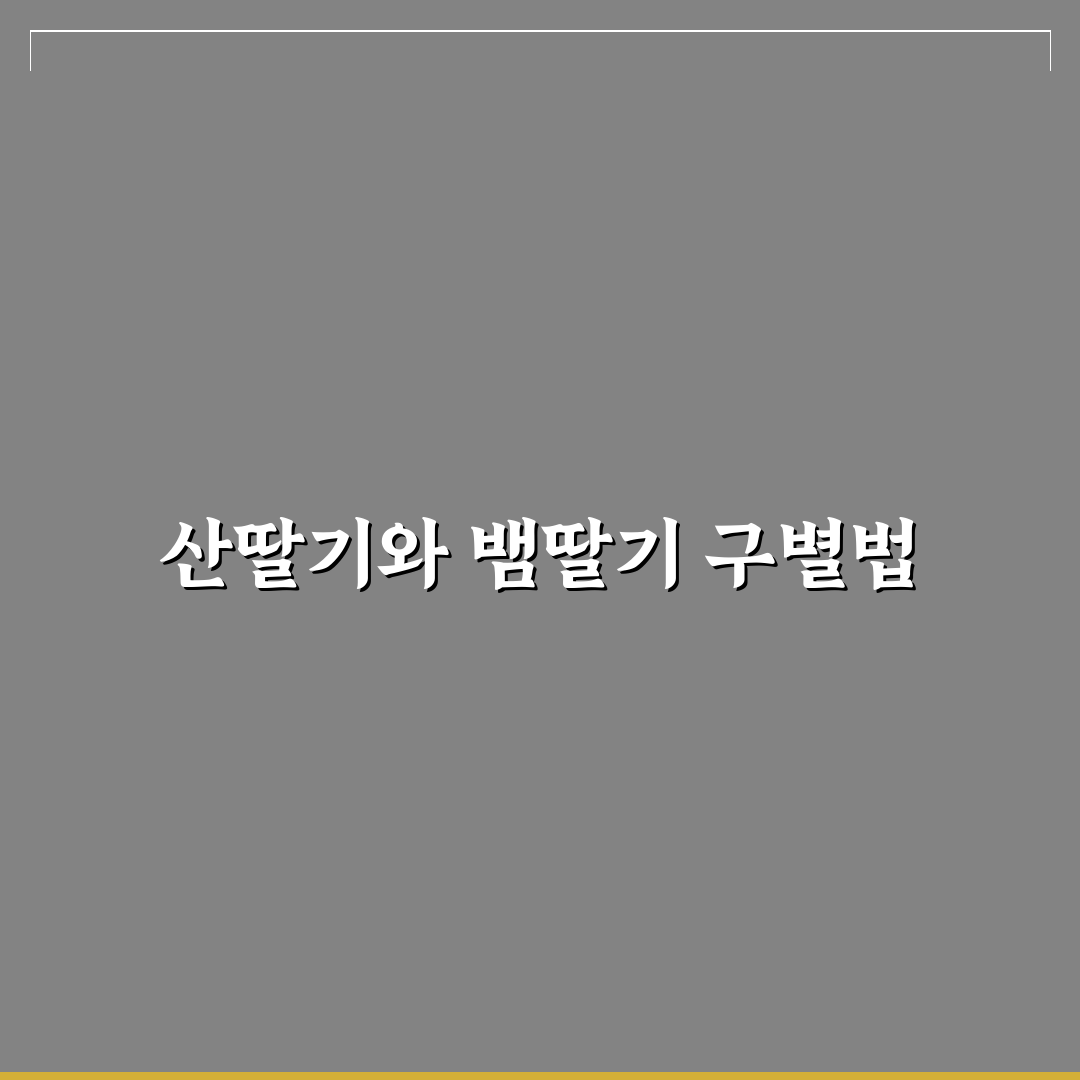 산딸기 뱀딸기 구별 방법과 꿀팁 쉽게 알려드려요