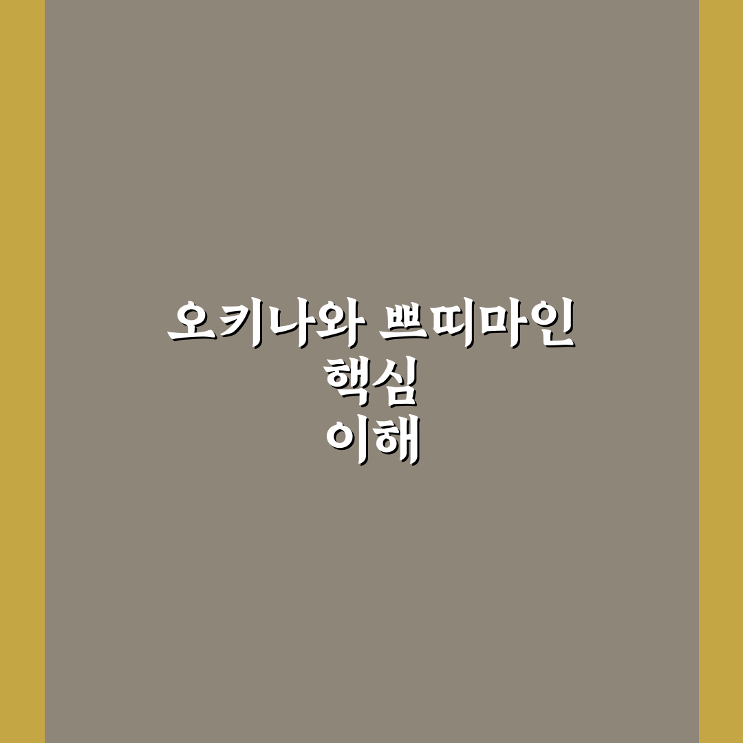 오키나와 쁘띠마인 선택 기준과 비교 분석 가이드