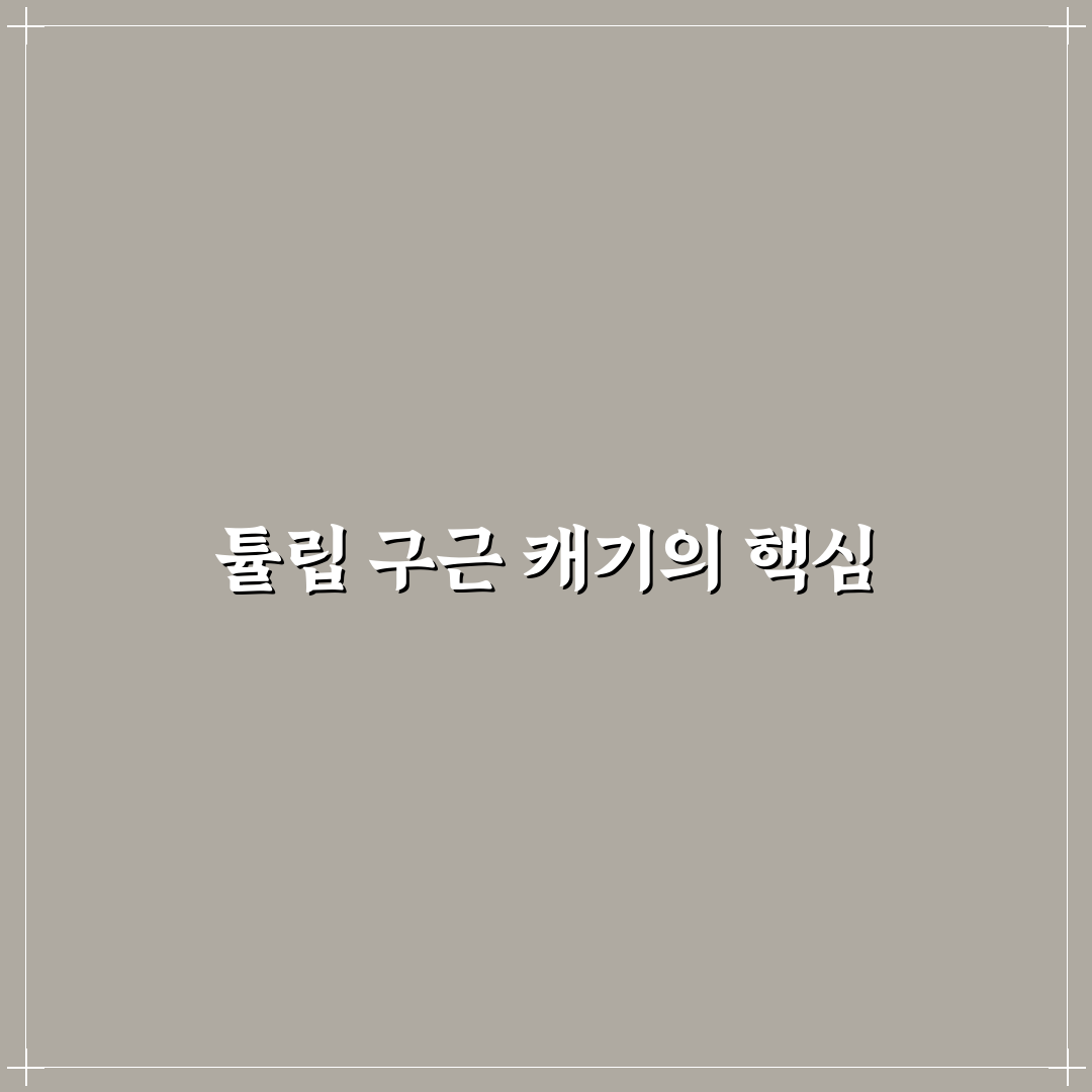 튤립 구근 캐기 꿀팁 초보자도 쉽게 따라하기