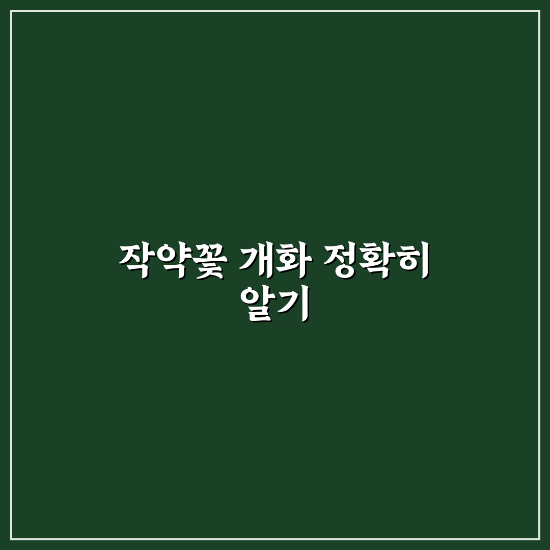 작약꽃 개화시기별 특징과 관리법 총정리 가이드