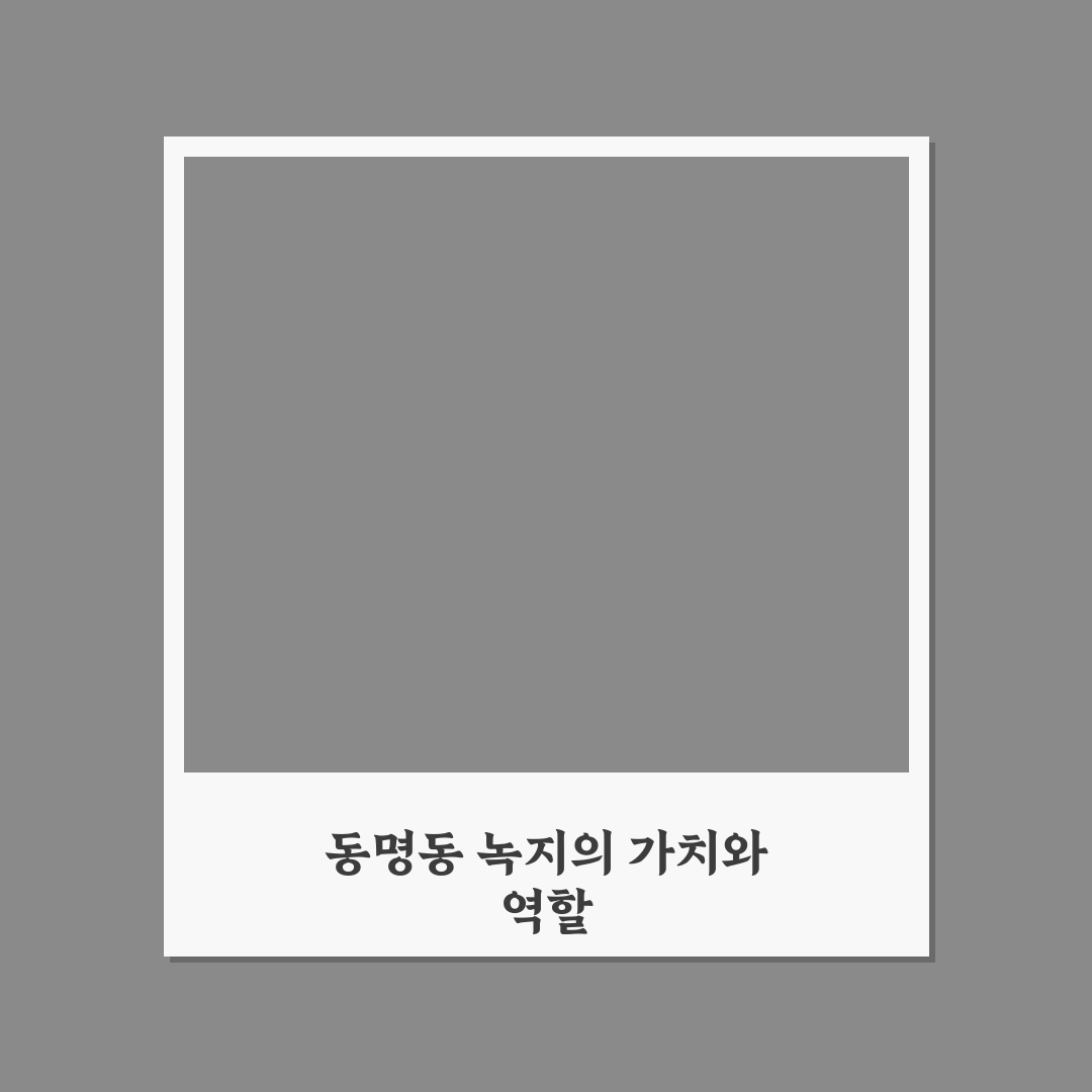 동명동 녹지 공간 활용 꿀팁과 방문 후기도 정리