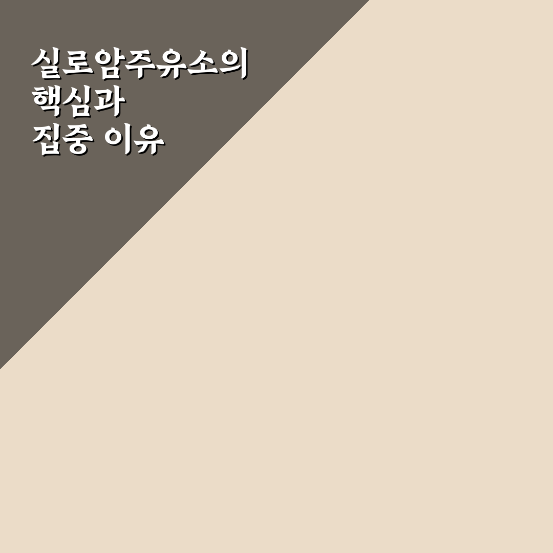 실로암주유소 서비스 품질과 가격 비교 분석 가이드