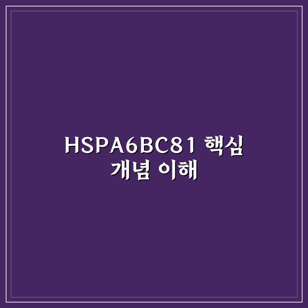 HSPA6BC81 사용법과 주요 팁을 쉽게 정리해드려요