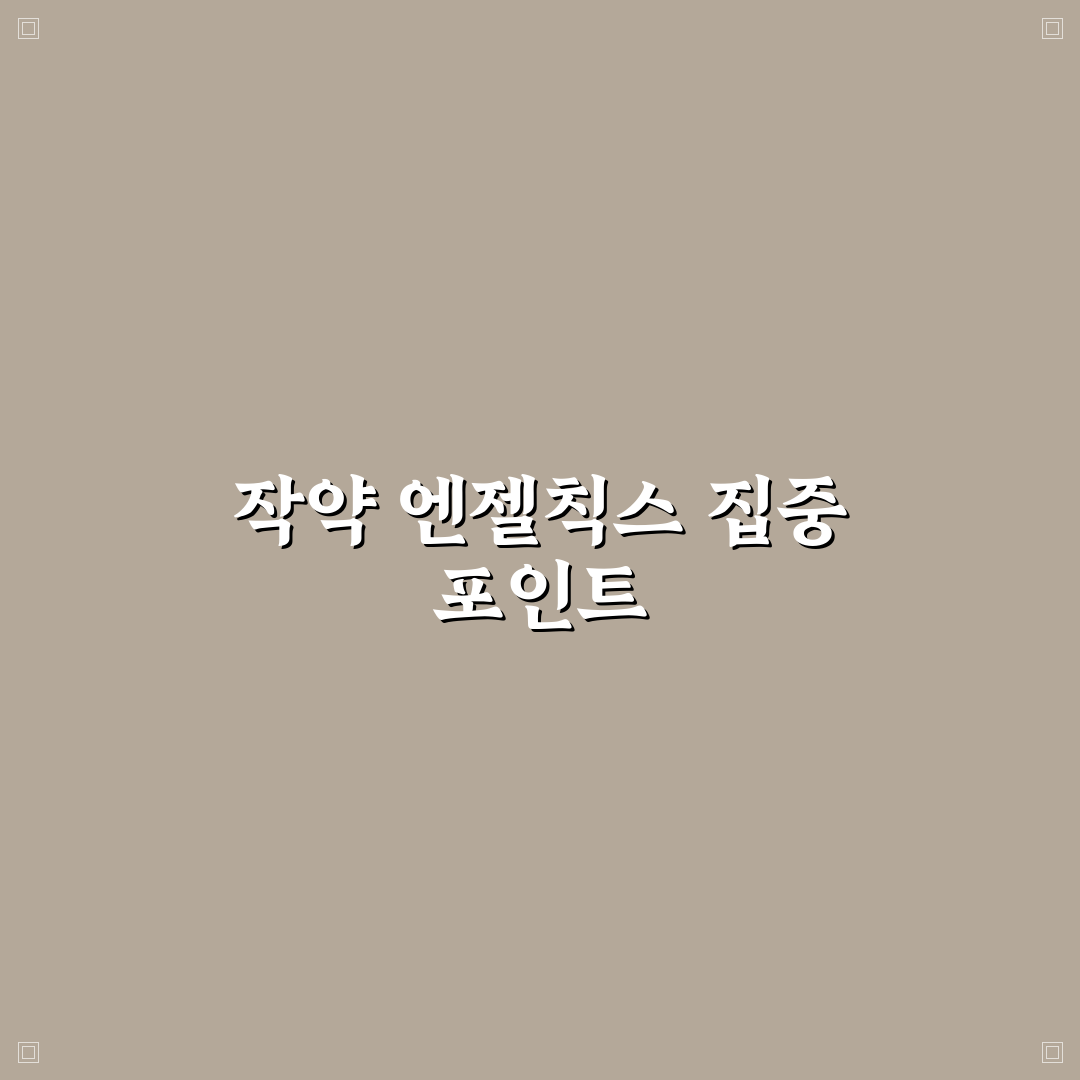 작약 엔젤칙스 성분과 효과 비교 분석 가이드