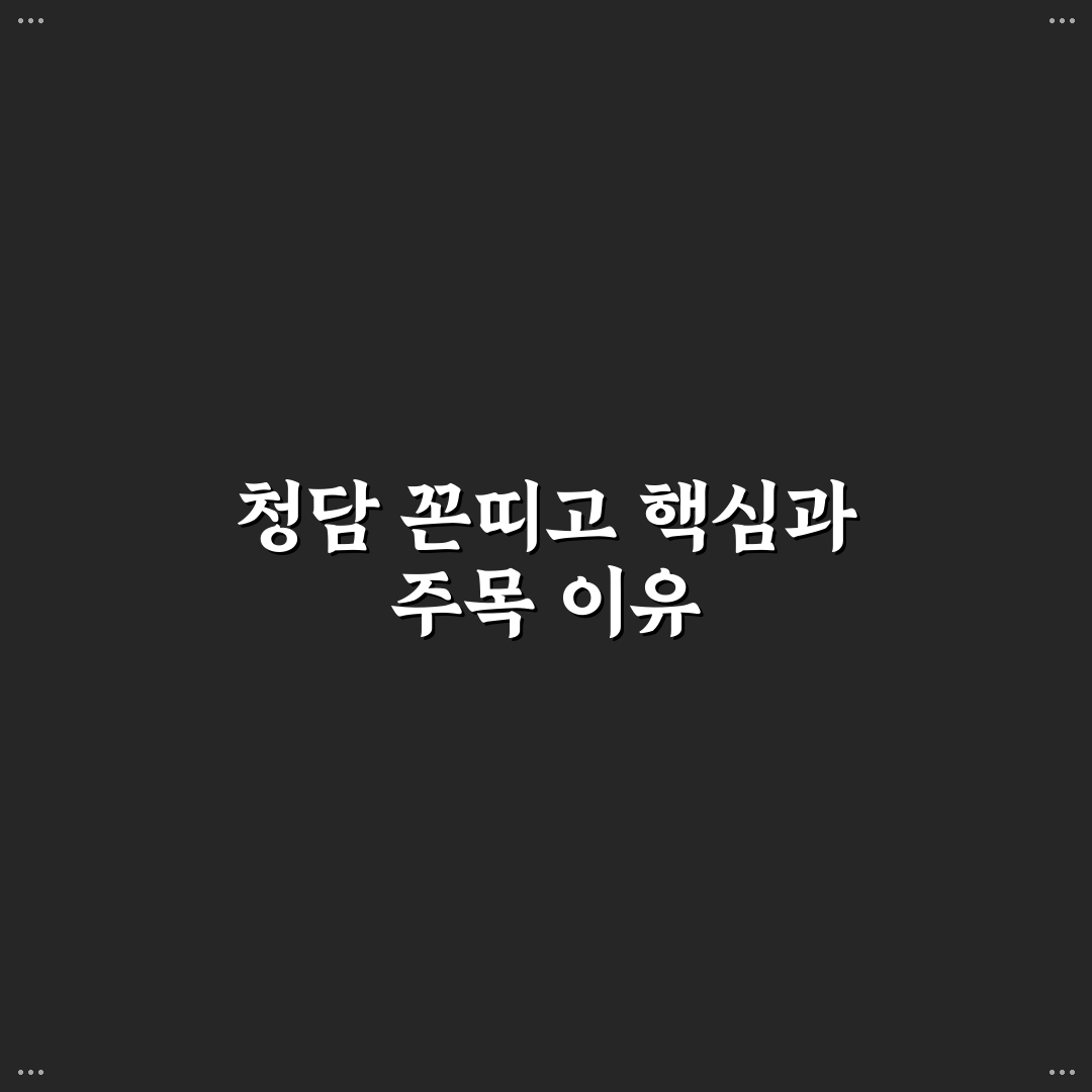 청담 꼰띠고 비교 및 분석 가이드 5가지 기준