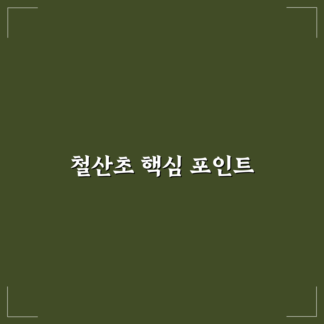 철산초등학교 교육환경과 시설 비교 분석 가이드