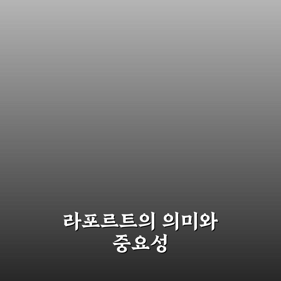 라포르트 쉽게 이해하는 방법과 꿀팁 공유