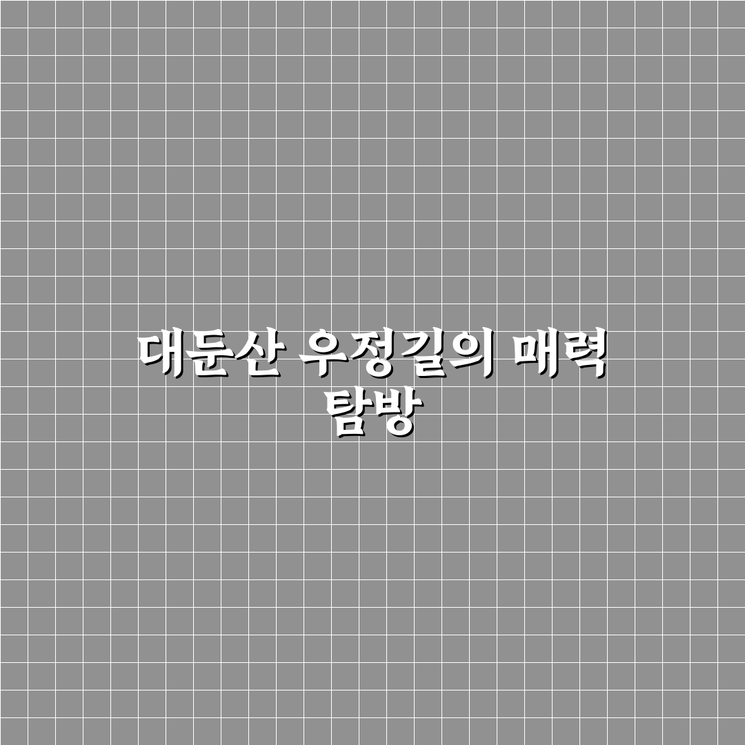 대둔산 우정길 초보자 추천 코스와 탐방 꿀팁