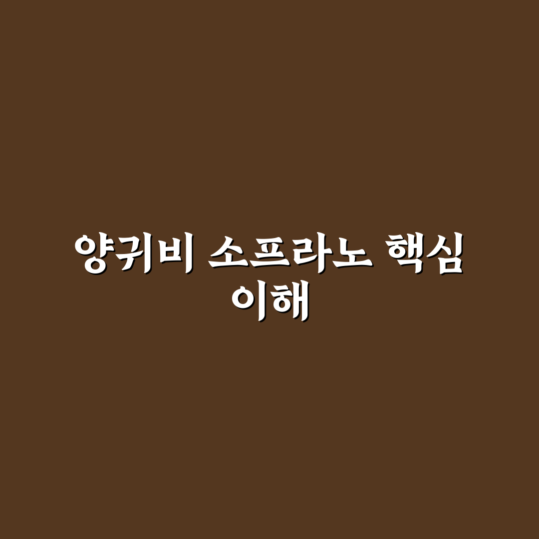 양귀비 소프라노 음색과 표현력 비교 분석 가이드