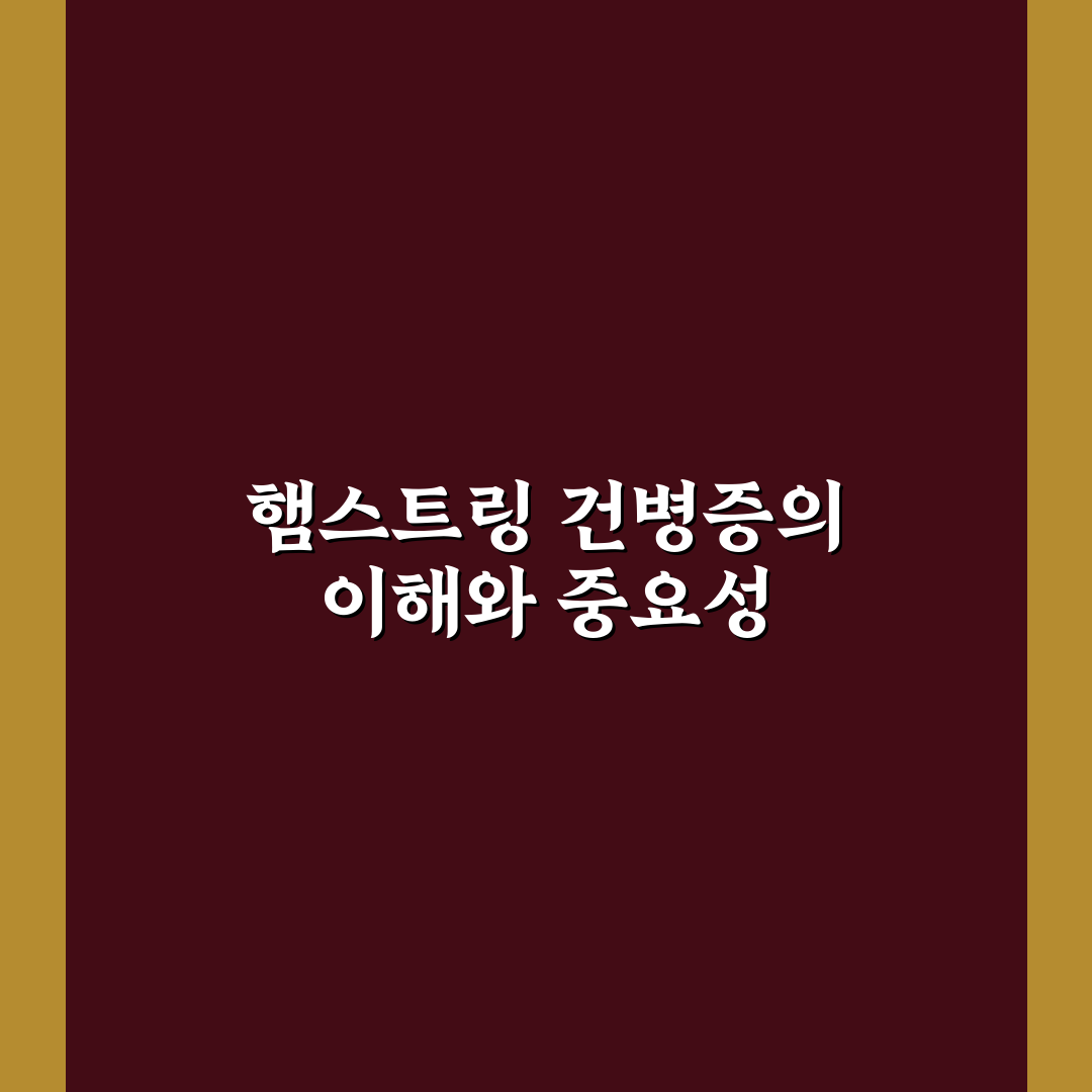 햄스트링 건병증 증상과 치료 꿀팁 쉽게 정리