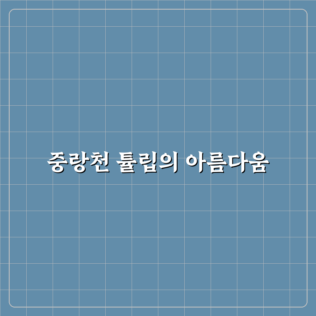 중랑천 튤립 정원 방문 꿀팁과 계절별 풍경 정리