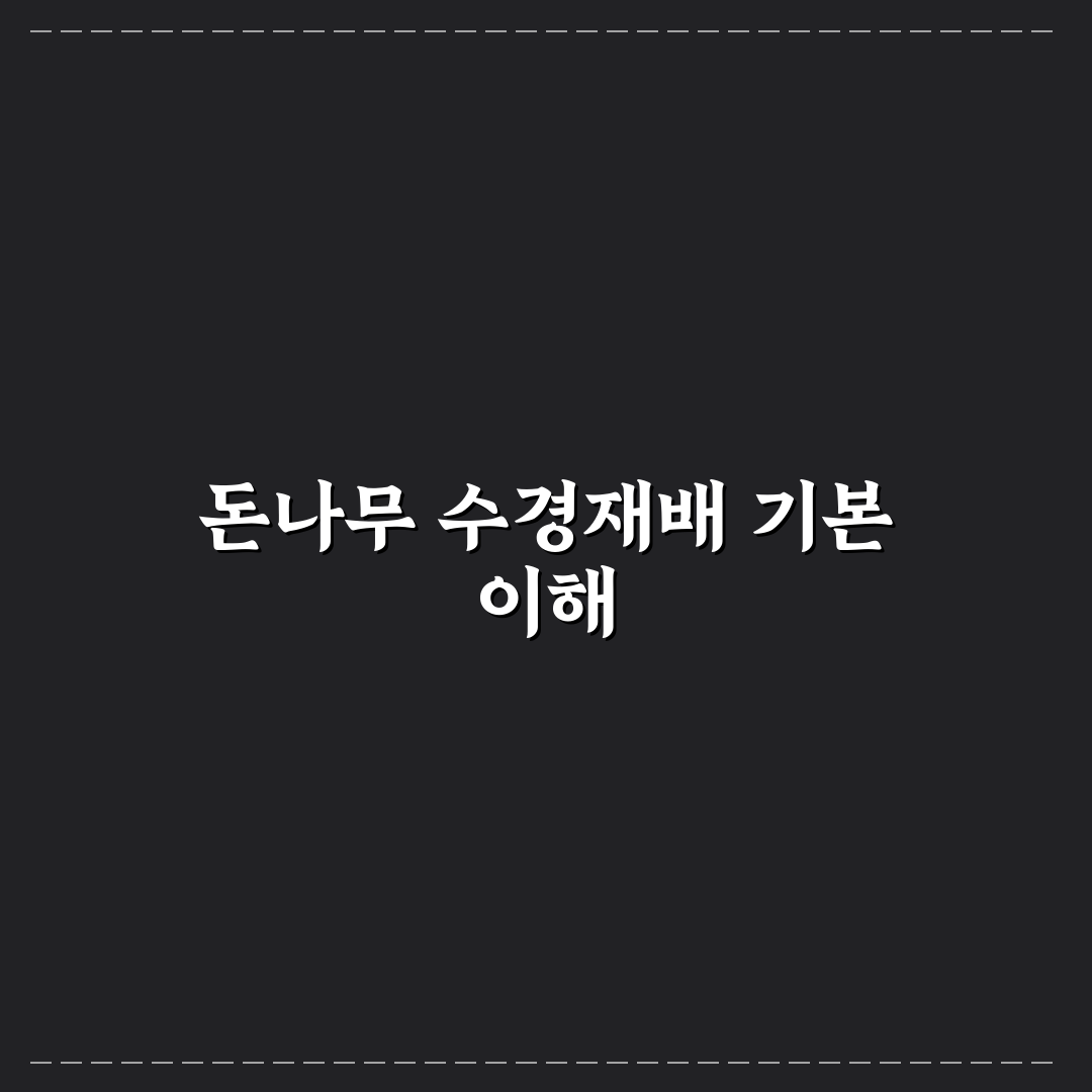 돈나무 수경재배 방법과 초보자 꿀팁 알려드려요