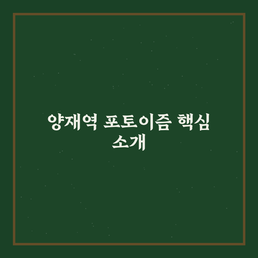 양재역 포토이즘 방문 전 알아두면 좋은 꿀팁 공유