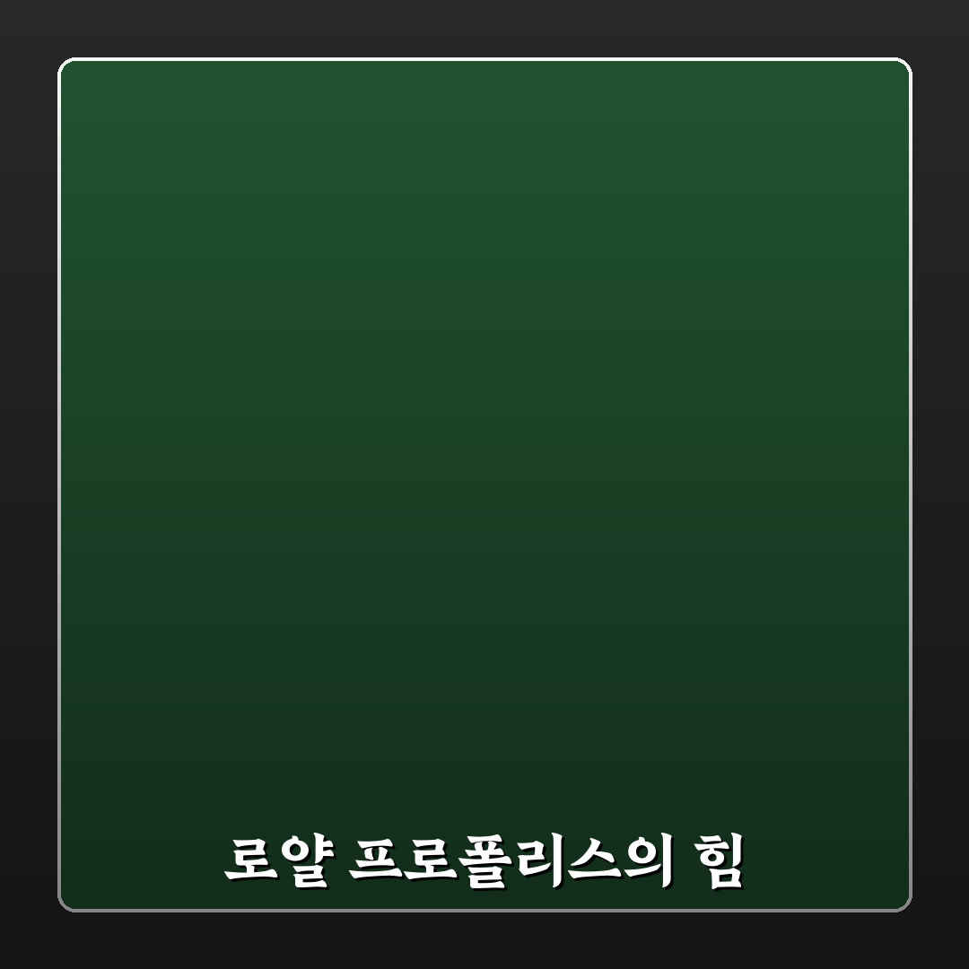 로얄 프로폴리스 캔디 효과와 사용법 꿀팁 알려드려요